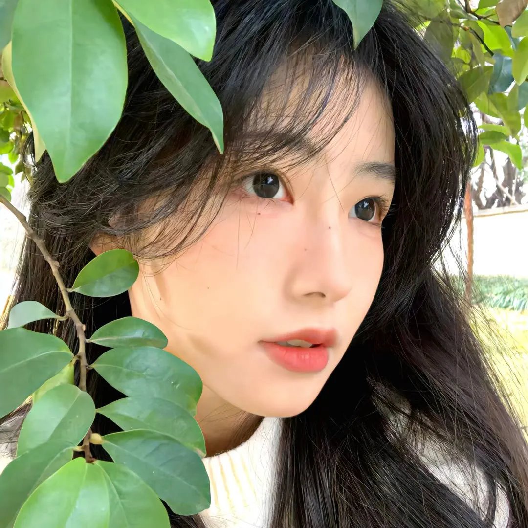 玻璃之花与坏掉的世界